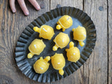 Farm and Hive - Tiny Turtle - Set of 2 | Beeswax Candles