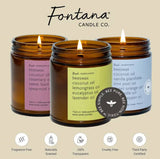 Fontana Candle Co. - Peppermint Bark Essential Oil Beeswax Jar Candle: Non-Toxic