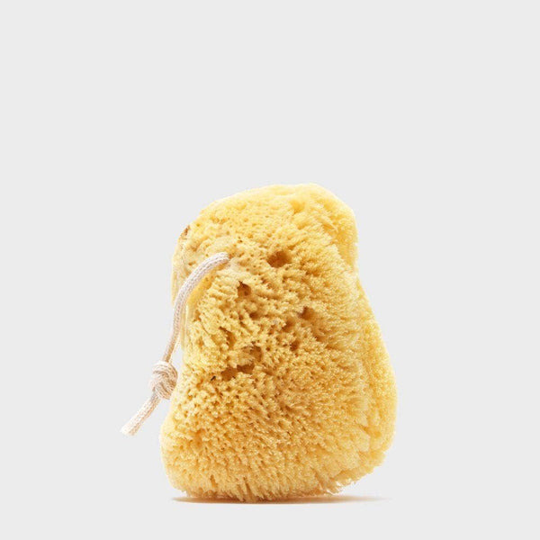Public Goods - Sea Sponge 1 ct