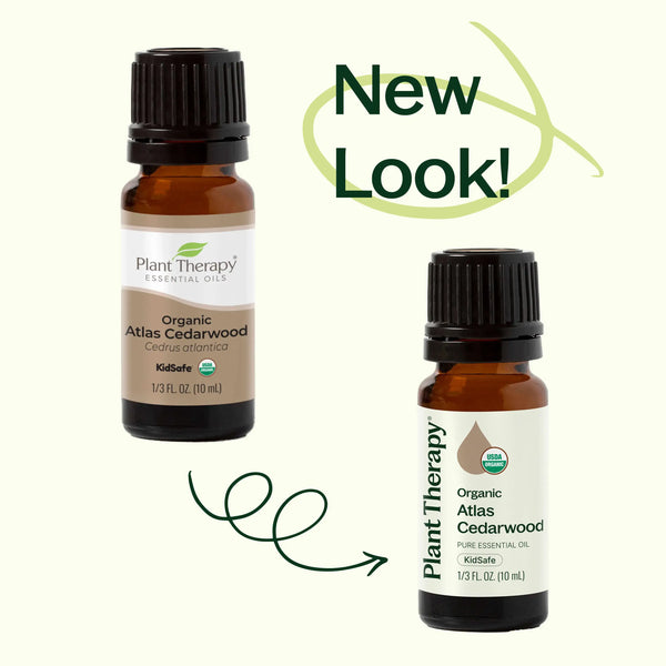 Plant Therapy - Organic Atlas Cedarwood Essential Oil 10 mL