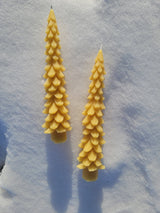 Farm and Hive - Evergreen Tree Tapers - Set of 2 | Beeswax Candles
