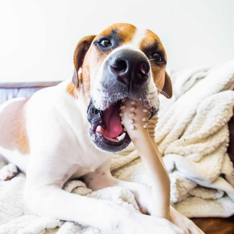 SOFT BetterBone All-Natural Sustainable Chew Toy - For SMALL Dogs