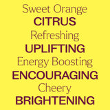 Plant Therapy - Organic Sweet Orange Essential Oil 10 mL