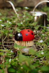 Zefiro - Ladybug Brush