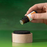 Plant Therapy - Lava Rock Passive Essential Oil Diffuser