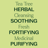 Plant Therapy - Organic Tea Tree Essential Oil 10 mL