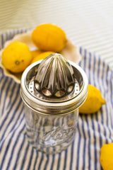 Zefiro - Stainless Steel Juicer - Wide Mouth