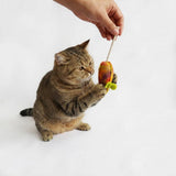 Awoo - Play Mouse Catnip Cat Toy
