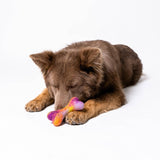 Awoo - Bone Felt Toy