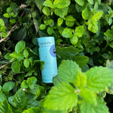 Meow Meow Tweet - Peppermint Clove Vegan Lip Balm