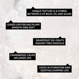 UpCircle USA - Natural Eco Friendly Vegan Lip Balm with Hemp Seed Oil