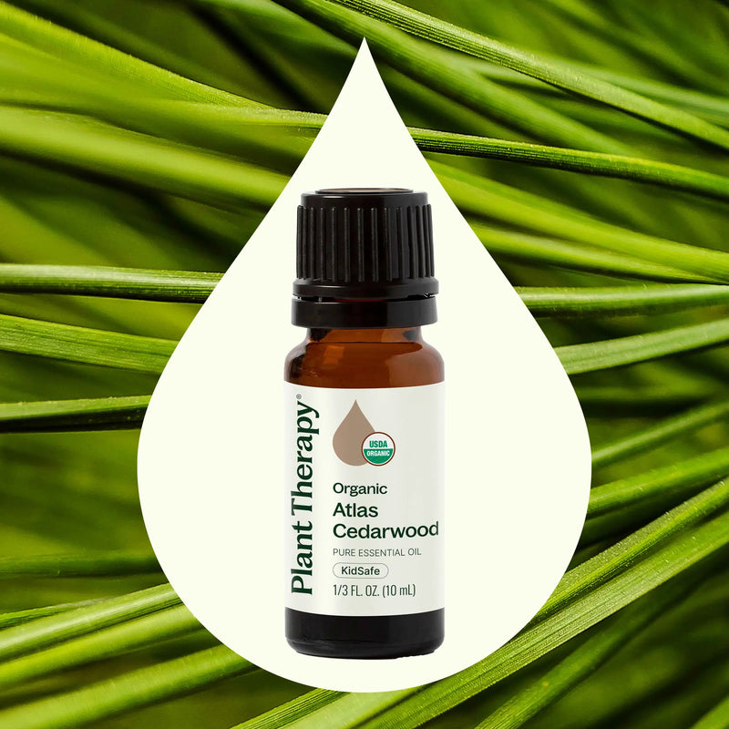 Plant Therapy - Organic Atlas Cedarwood Essential Oil 10 mL