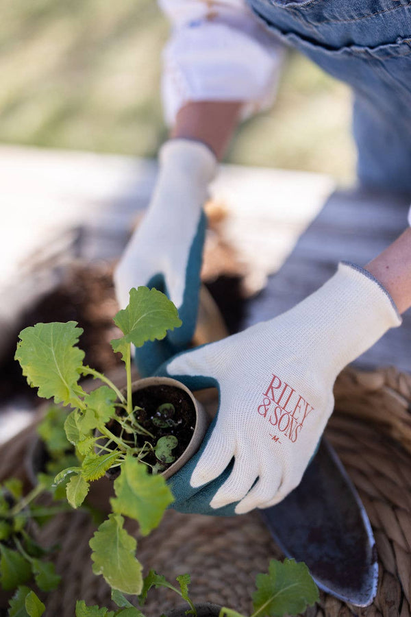 gardening gloves uses Riley & Sons
