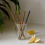 Stainless Steel Bent Straw