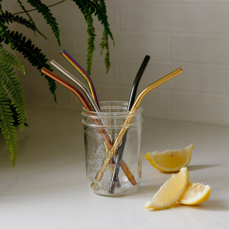 Stainless Steel Bent Straw