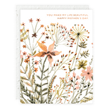 Seedlings Cards